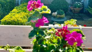 Demetra Apartment Sperlonga - Foto 2, Garden