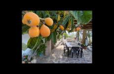 cortijo la alberquilla - Foto 23