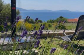 Guesthouse Villa Brestova - Foto 32