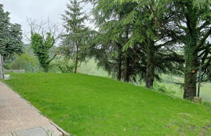 La lepre nella Luna - Foto 39