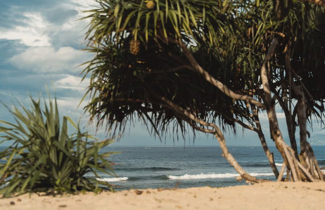 Tabitha Tunak Resort - Foto 52