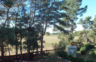 Zum Störtebeker 33 - Foto 33