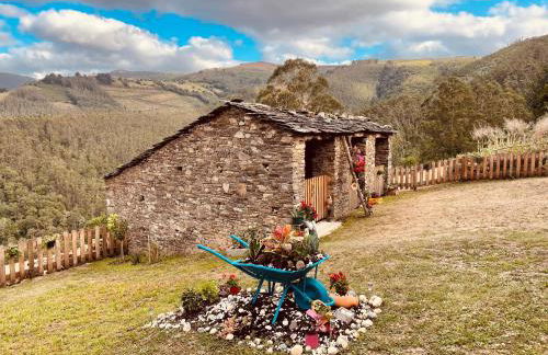 Casa Neto Goje - Foto 7