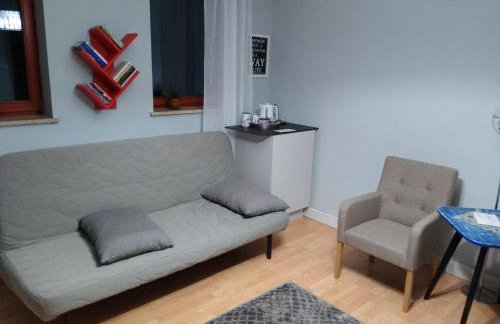 Apartamenty Zielona Góra - Foto 48