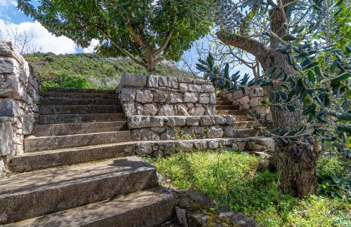 Apartments by the sea Luka Dubrava, Peljesac - 14040 - Foto 10