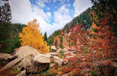 Logement 6 pers au cœur des montagnes pyrénéennes linge de maison et papier toilette non fournis - Foto 6