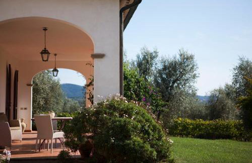 Agriturismo Tra gli Ulivi, Chiappini Winery - Photo 54