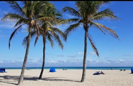 Blue Horizon With Shared Spaces - Photo 19