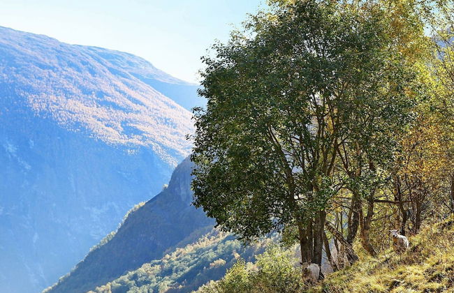 6 Person Holiday Home in Ovre Ardal - Foto 34