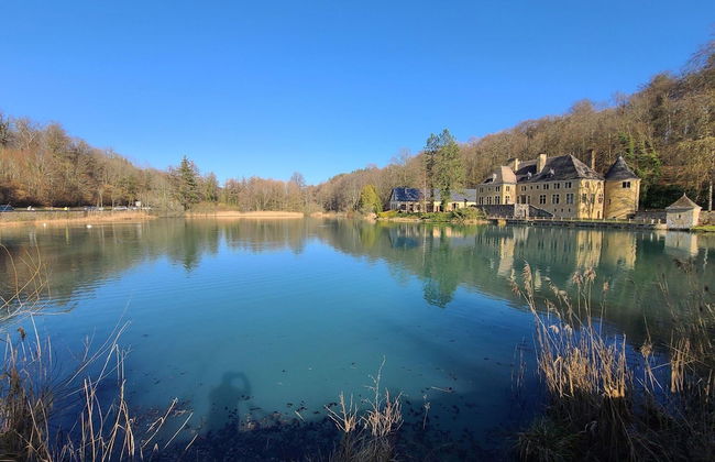 Lovely Holiday Home in Orval With Garden - Photo 39