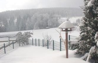 Ferienhaus Waldblick - Foto 2