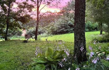 Park Wilkasy - Foto 47