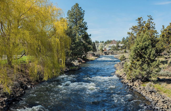 6BR 5 King Beds EV 10min Downtown - Foto 29