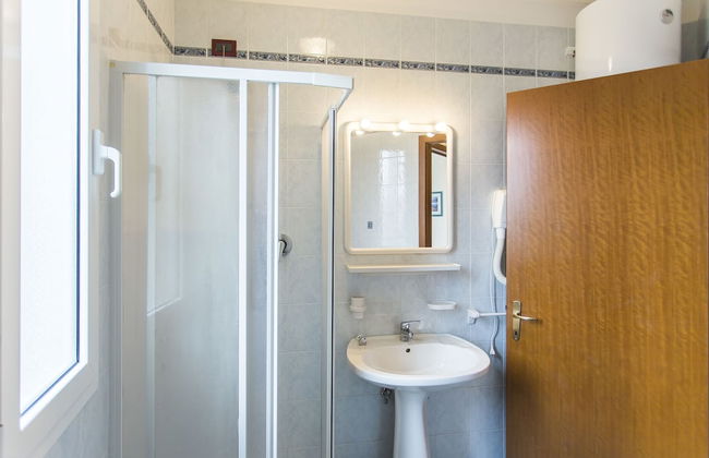 Calycanthus - Foto 33