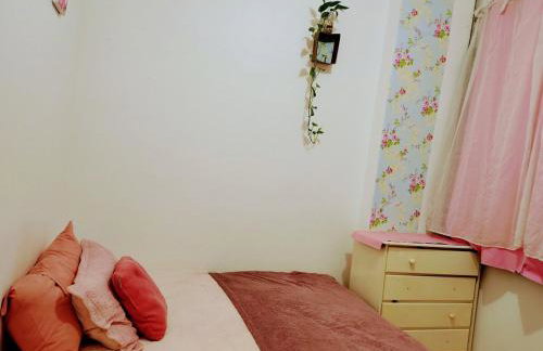 Apartamento no Flamengo - Foto 1