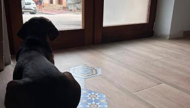 Can Sablet - Foto 5, Lobby or reception