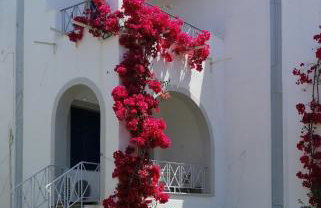 Allegria Family Hotel - Foto 1