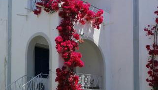 Allegria Family Hotel - Foto 1