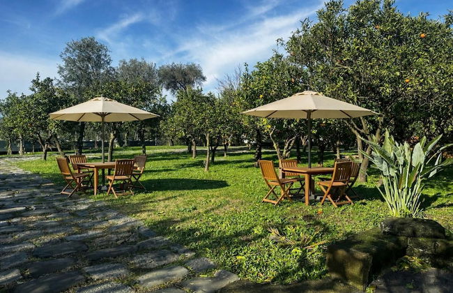 Lemon Factor Sorrento - Photo 75