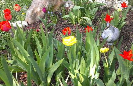 Appartementhaus Elisabeth Winklhofer - Foto 55