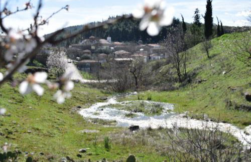 Oasis of CalmnessΕ - Foto 26