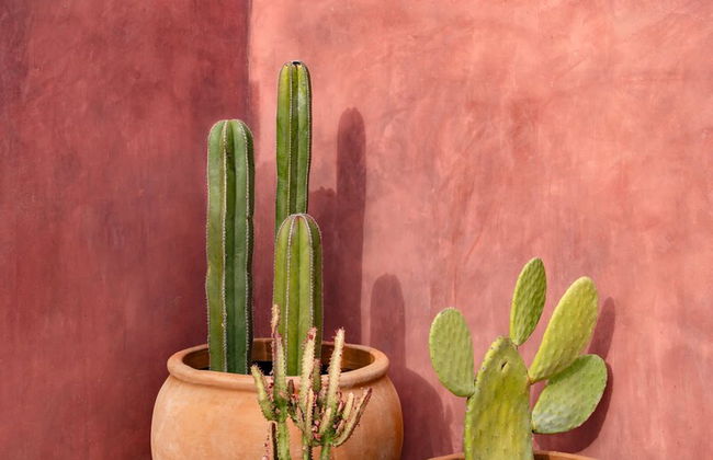 Casa Todos by Boutique - Foto 16