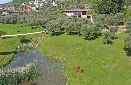 Villa Gran Paradiso - Foto 66