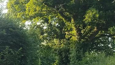 Headson Farmhouse - Foto 5