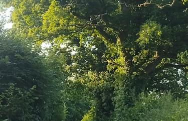 Headson Farmhouse - Foto 5