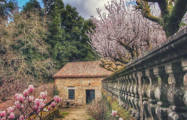 Visita guiada pelo Pazo do Faramello - Foto 3