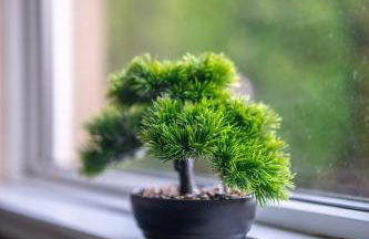 Castlefern House - Foto 24