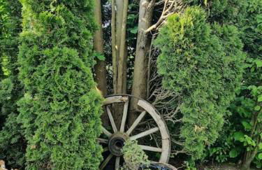 Ferienwohnung Seeblick - Foto 19