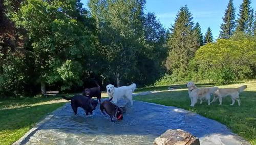 Landhaus Schlossberg - Foto 4