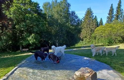 Landhaus Schlossberg - Foto 4