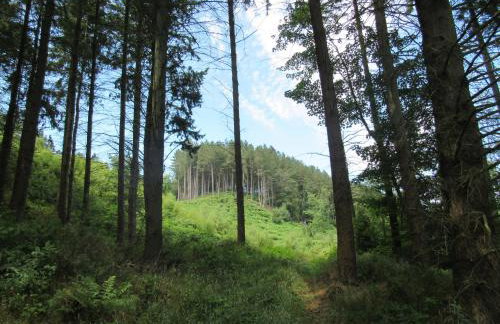 Morton House and The Stable Block Masham - Adjoining holiday cottages for singles, couples and large groups - Foto 53