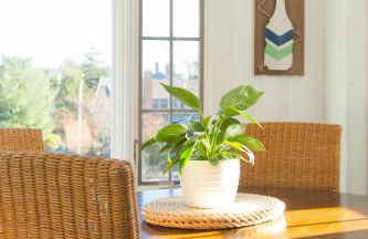 Yachtsman Suite - Foto 6