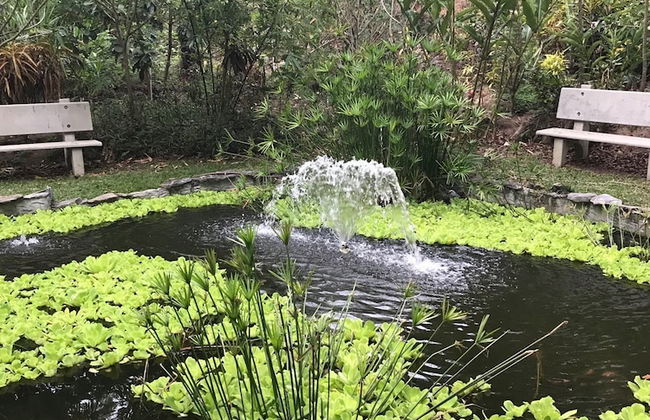 Adventure Eco Villas - Foto 24