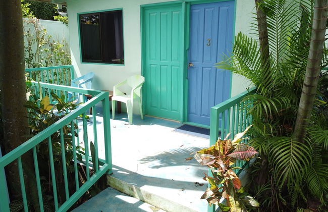 Bohemian Monkey - Foto 31