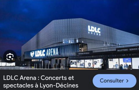 Cosy Decines Groupama Stadium-LDLC Arena Climatisé - Foto 21