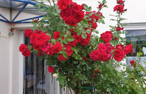 Ferienhaus Haus Herzog - Foto 12