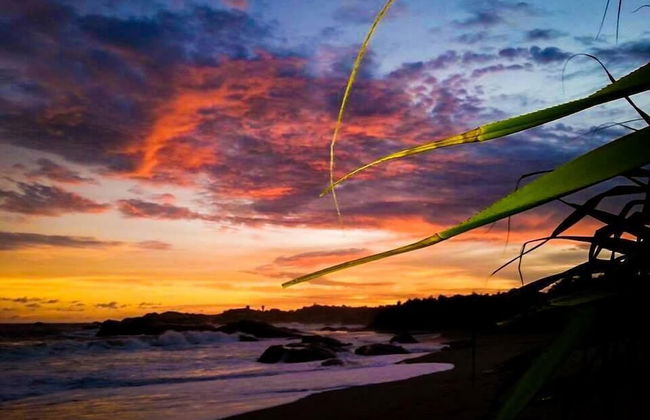 Yala Waves Beach Resort - Foto 24