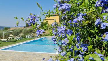 Fattoria di Maiano - Foto 2