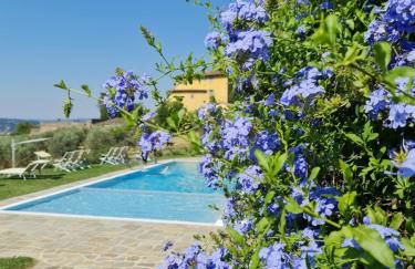 Fattoria di Maiano - Foto 2