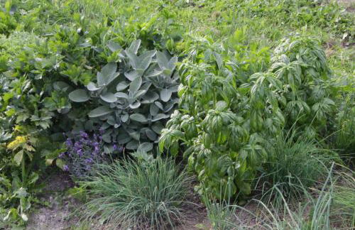 Spisserhof - Photo 31