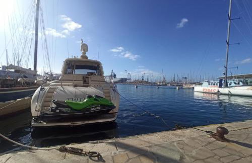 GreenPeace - Host Provence - Foto 26