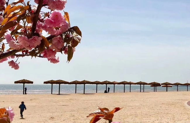 Jia Zhao Ye Sunny Seaview Apartment - Foto 21