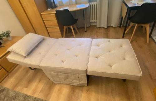 Business & Travel Apartment - in Laufnähe zu Messe und City - Foto 7