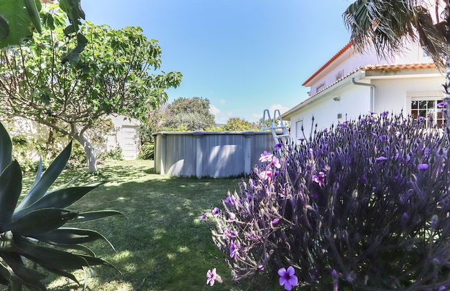 Guincho Typical House II by Homing - Photo 44
