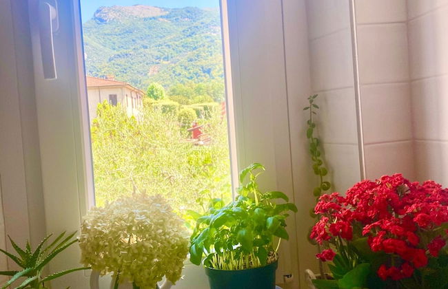 Casa La Wanda - Camaiore, Toscana - 2 Br & Terrace - Foto 37