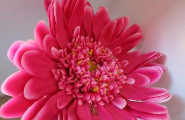 Rainbow House - Foto 12